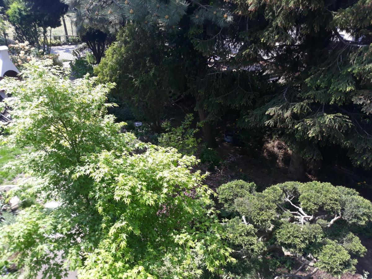 מידזיזדרויה Villa Jaskolka מראה חיצוני תמונה